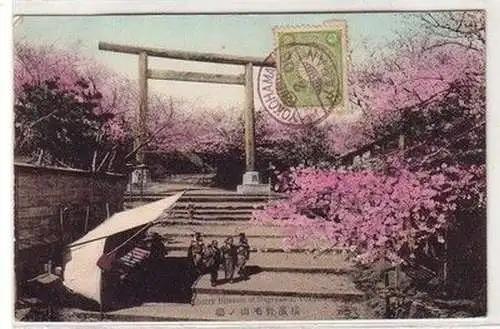 43448 Ak Yokohama Japan Cherry Blossom of Nogeyama 1908