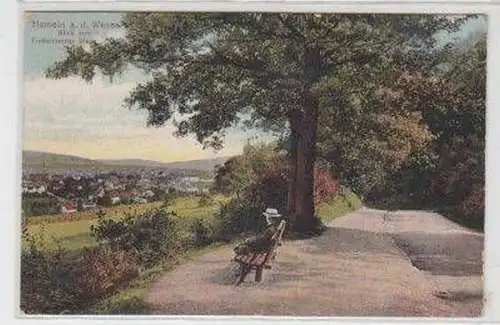 48808 Ak Hameln Weser Blick vom Finkenborner Weg 1913