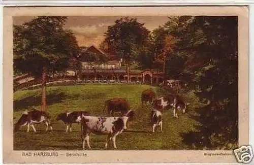 24951 Ak Bad Harzburg Sennhütte Originalaufnahme 1923