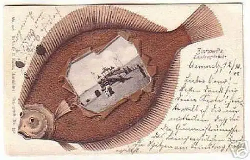 06723 Flunder Ak Zinnowitz Landungsbrücke 1901