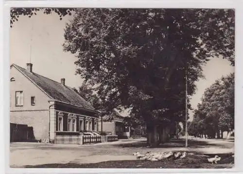 60615 AK Buchholz, Kreis Röbel / Müritz - Dorfstraße, Straßenansicht 1971