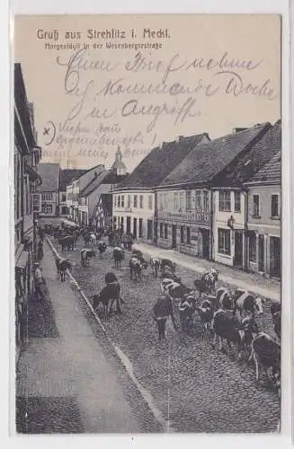 88740 Ak Gruß aus Strelitz in Mecklenburg Morgenidyll in der Wesenbergerstraße