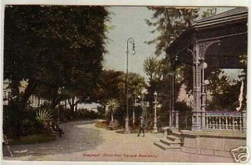 12626 Ak Guayaquil Ecuador Parque Seminario 1915