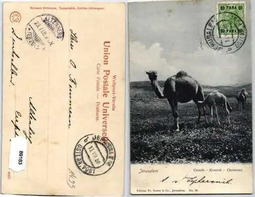 89183 AK Jerusalem - Camels - Kameele - Chameaux 1908