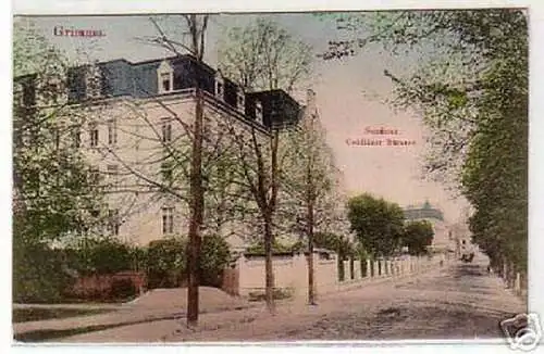 00850 Ak Grimma Seminar Colditzer Strasse um 1910