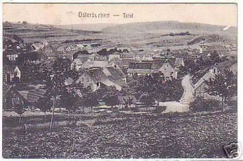 02229 Ak Osterburken Totalansicht 1919