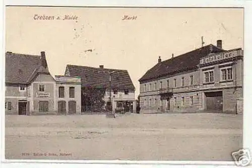 05893 Ak Trebsen Mulde Markt mit Ratskeller 1918