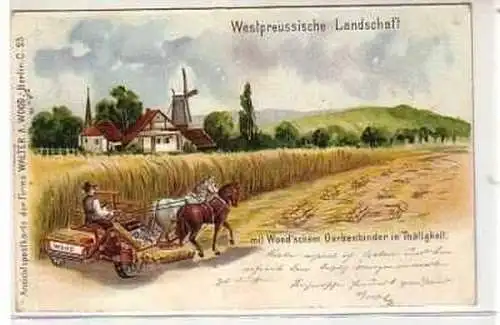 40127 Ak Lithographie Wetspreussische Landschaft 1901
