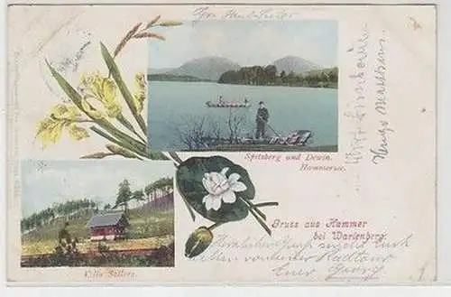 58733 Ak Gruß aus Hammer bei Wartenberg Spitzberg und Dewin 1901