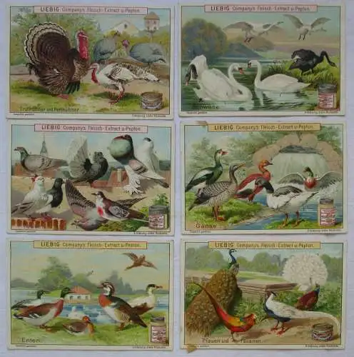Liebigbilder Serie 427 Geflügelarten, komplett 1899 (5/106362)
