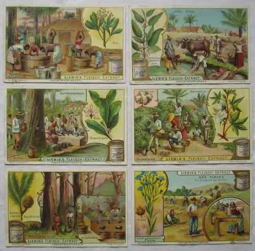 Liebigbilder Serie Nr. 535 Industriepflanzen 1902 (6/133738)