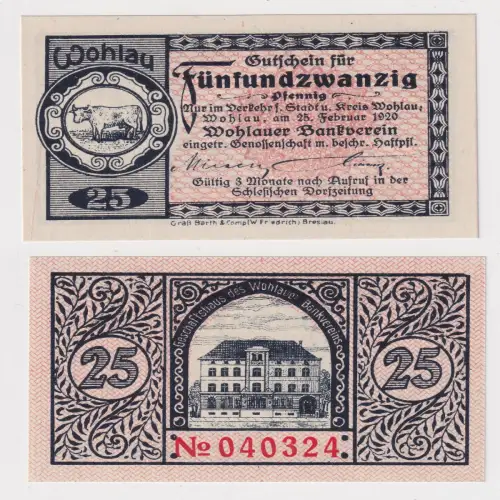 25 Pfennig Banknoten Notgeld Wohlauer Bankverein 1920 (170105)