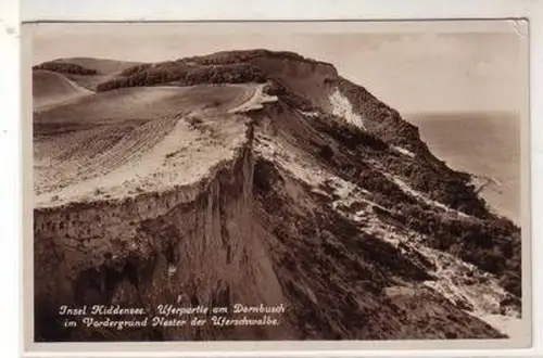 48605 Ak Insel Hiddensee Uferpartie am Dornbusch 1933
