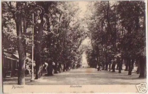 10277 Ak Pyrmont Hauptallee 1906