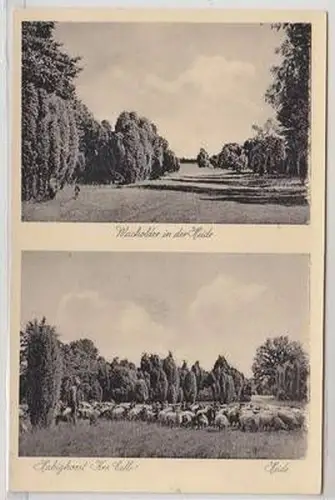 51838 Mehrbild Ak Habighorst Kreis Celle Heide um 1940