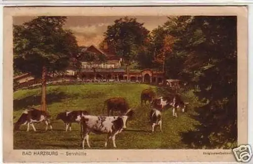 24951 Ak Bad Harzburg Sennhütte Originalaufnahme 1923
