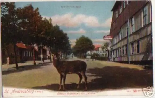 07398 Ak St. Andreasberg/ Harz Schützenstrasse 1910