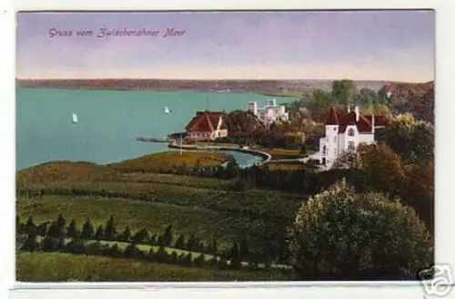 12689 Ak Gruß vom Zwischenahner Meer 1916