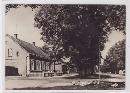 60615 AK Buchholz, Kreis Röbel / Müritz - Dorfstraße, Straßenansicht 1971