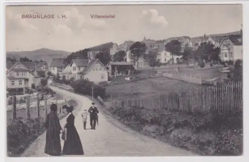 95310 Ak Braunlage im Harz, Villenviertel 1910