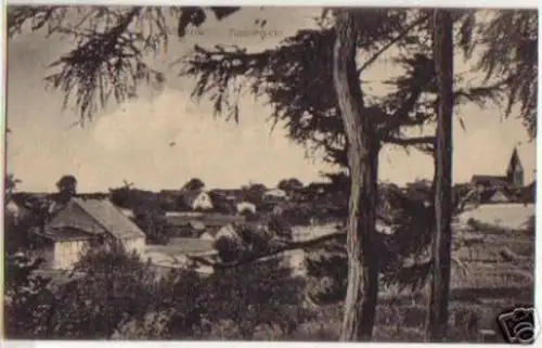 13311 Ak Malow Totalansicht 1914