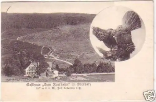 20699 Ak Gasthaus "Zum Auerhahn" bei Zellerfeld 1907