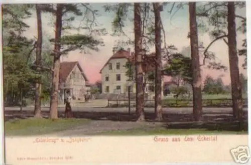 13290 Ak Gruß aus dem Eckertal Gasthof um 1910