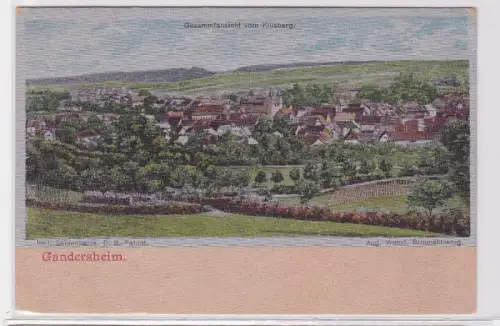 90995 Patent Ak Gandersheim Gesamtansicht vom Klusberg um 1900