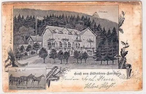 66718 Mehrbild Ak Gruß vom Silberborn Harzburg Elfenstein 1899