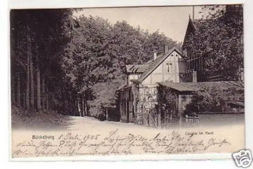 33305 Ak Bückeburg Colonie im Harrl 1905