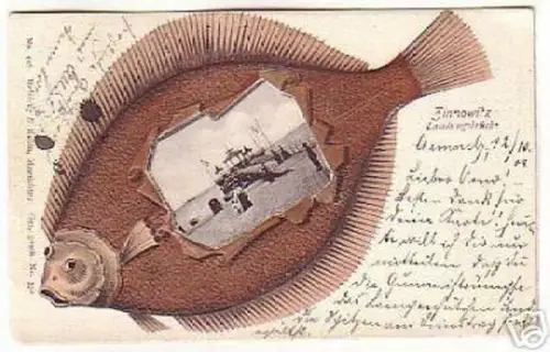 06723 Flunder Ak Zinnowitz Landungsbrücke 1901