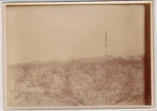 34775 Foto Kolonie DSWA von Punkt Apokane um 1910