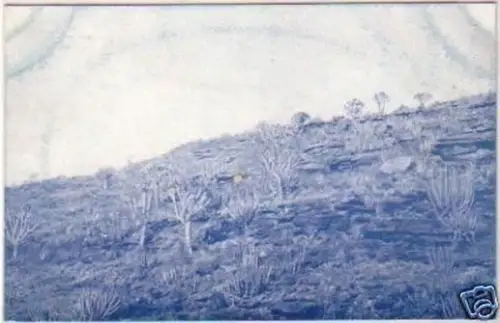 21334 Ak Kolonie DSWA Landschaft bei Naros um1905