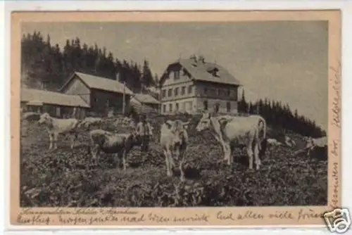 30703 Ak Sonnwendstein Schüler´s Alpenhaus 1925