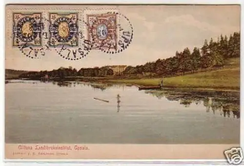 32325 Ak Upsala Ulltuna Landtbruksinstitut 1908