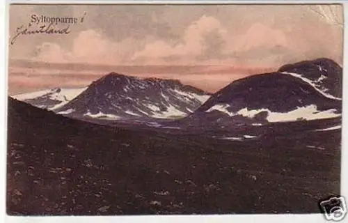 33234 Ak Syltopparne in Schweden Panoramablick 1908