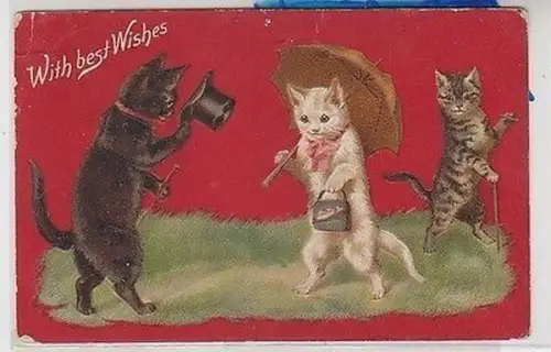 53978 With best Wishes Präge Ak Katzen mit Hut und Schirm 1911