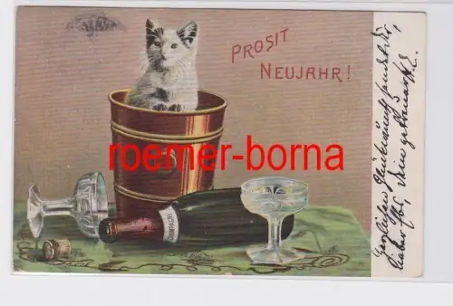 81017 Ak Prosit Neujahr! Katze im Sektkühler 1905