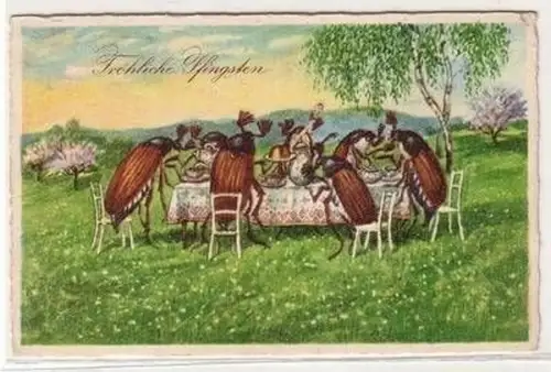 52782 Pfingsten Ak Maikäfer an der Kaffeetafel sitzend 1929