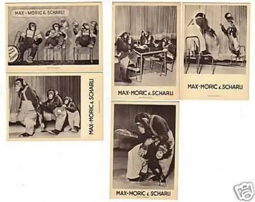 30063/5 Reklame Karten Schimpansen Show Budapest um1930