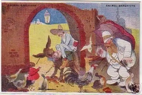09310 Humor Ak Ägypten "Animal Bakchiche" um 1910