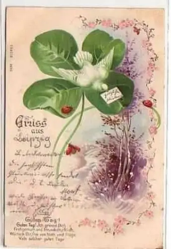 40291 Kleeblatt Ak mit 3 Marienkäfern und Taube 1900