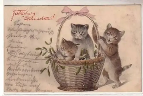 52783 Weihnachts Ak 3 Kätzchen mit Korb 1907