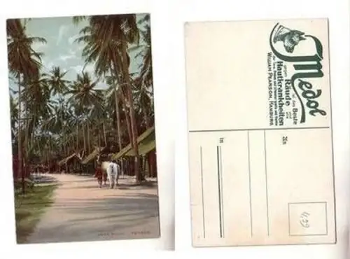 59379 Medol Reklame Ak Penang Malaysia native Village um 1910