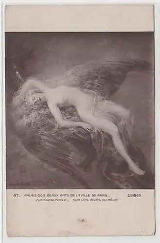 65148 Erotik Ak "Nackte Dame auf Vogelschwingen" Frauenakt um 1910