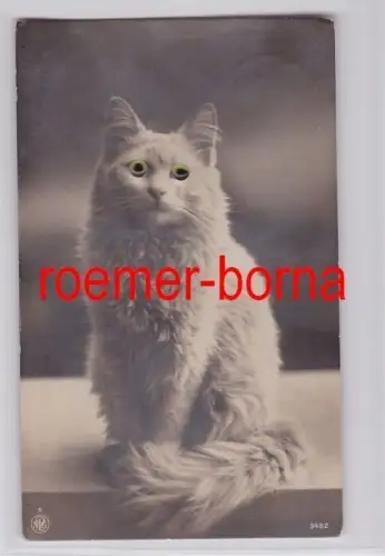 80534 Künstler Ak Katze mit Wackelaugen 1922