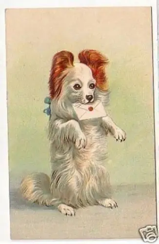 30329 Humor Präge Ak Hund mit Brief im Maul um 1910