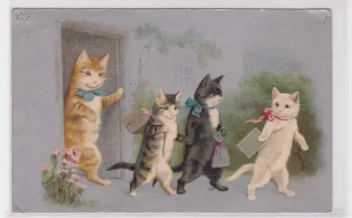 82636 Ak 4 Katzen gehen zur Schule um 1910