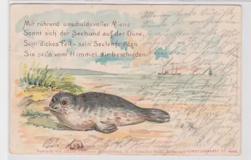 68404 Künstler Ak Reim und 'Seehund auf der Düne' 1901