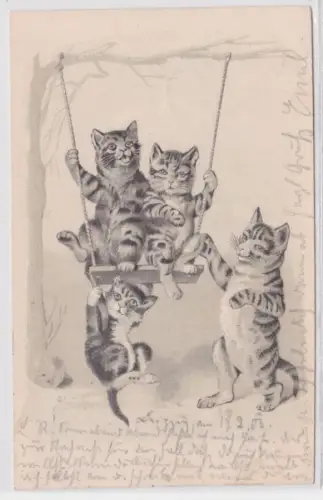 14405 geprägte Künstler Ak Katzen schaukeln 1903